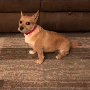 Meet your Posher, Robyn